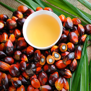 Aceite de Batana prensado en frío orgánico puro 100%, aceite esencial para el cabello de etiqueta privada para el crecimiento, el control de caídas y la salud del cuero cabelludo - Product Image 6