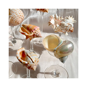 แก้วไวน์พรีเมี่ยมสำหรับการตกแต่งงานกิจกรรมสุดหรูแก้วเปลือกหอยของช่างฝีมือขายส่ง - Product Image 4