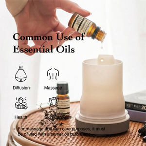 Aceite Esencial de Eucalipto 100% Puro, 10 ml, Aceite Natural para Aromaterapia, Difusor, Masajes, Cuidado de la Piel, Venta al Por Mayor, Suministro OEM Privado - Product Image 3