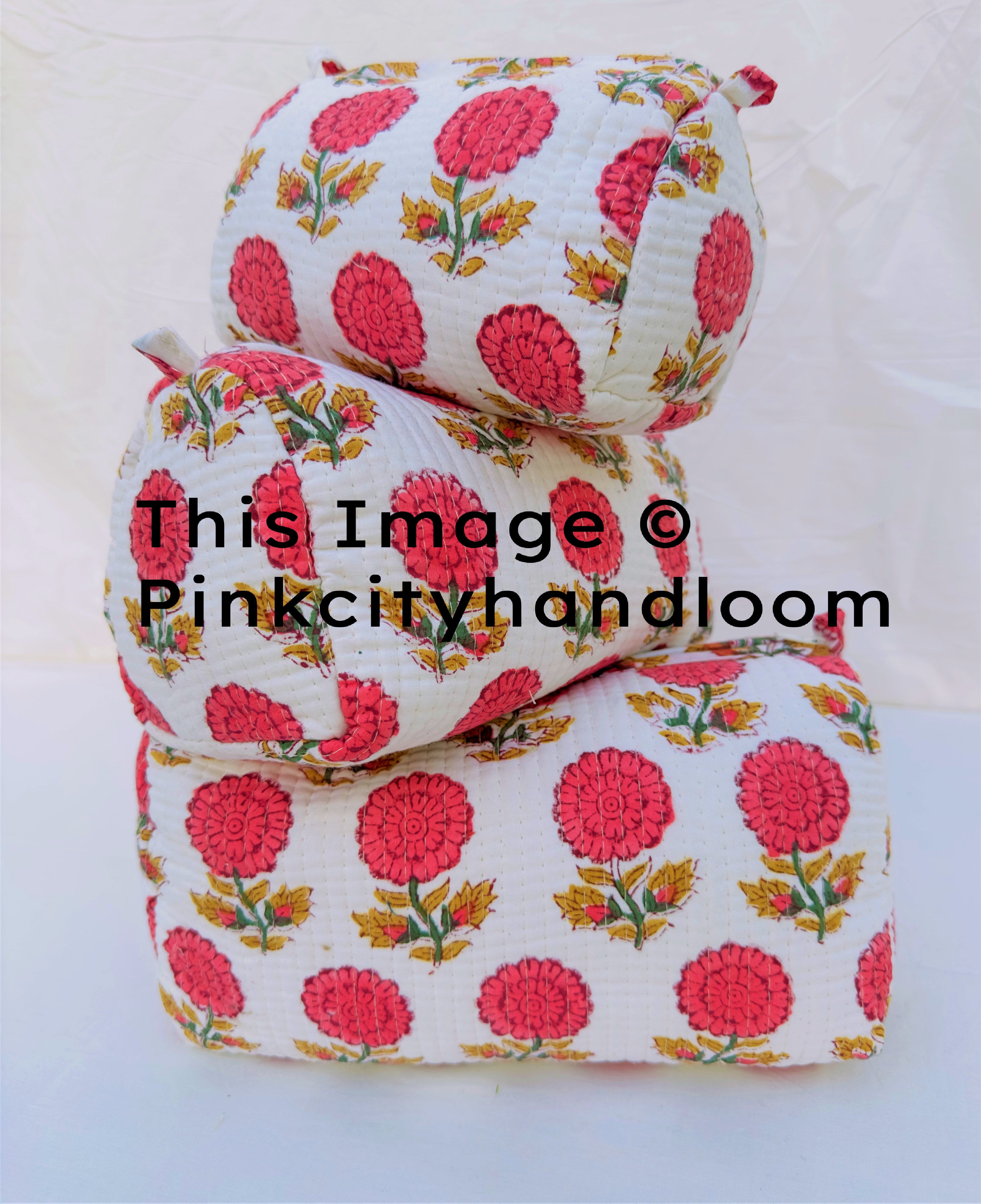 Comme montrent dans l'image