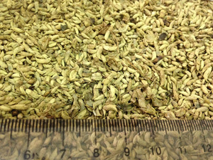 ดอกไม้เจดีย์ปาร์ชิงญี่ปุ่นคุณภาพดีที่สุดในออสเตรเลีย Japjaponicum Supply สำหรับผู้ค้าส่งและผู้ค้าปลีกวันหยุดเวียดนาม - Product Image 3