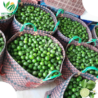 Lime fraîche sans pépins bon prix du Viet Nam-Nouvelle récolte de lime fraîche/citron vert