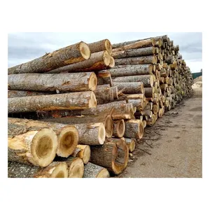 Tronchi di legno a buon mercato, tronchi di legno di pino e tronchi di legno per la vendita