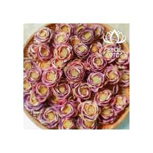 Chất Lượng Hàng Đầu Trà Hoặc Trang Trí Từ Màu Xanh Sen Việt Nam Khô Hoa Sen Hoàn Hảo Cho Thảo Mộc Trà Nghệ Thuật Dự Án Thủ Công Mỹ Nghệ Cao Cấp - Product Image 1