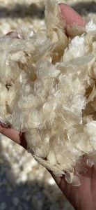 เกล็ดปลาแห้งปลาช่อนคุณภาพดีที่สุดจากเวียดนาม // MS ลิลลี่ + 84 906927736 - Product Image 4