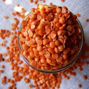 Lentejas Rojas Secas Premium, 100% Puras y Naturales, Proteína, Empaque a Granel, Grado Alimenticio, 2 Años de Vida Útil, 25 kg, Exportación, Mercado Mayorista - Product Image 4