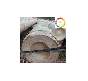 Clôture en bambou naturel du Vietnam-Matière première durable idéale pour l'agriculture, l'aménagement paysager et les projets de construction - Product Image 3