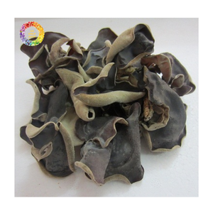 Champignon noir séché, Champignon noir le plus vendu Champignon d'oreille en bois naturel Champignon séché comestible pour l'approvisionnement alimentaire industriel - Product Image 1