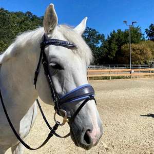 Bride de cheval en cuir véritable de haute qualité - Product Image 2