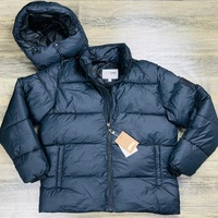 Veste d'hiver en coton rembourré avec broderie Veste à capuche décontractée épaisse et chaude Lot de vêtements excédentaires en gros