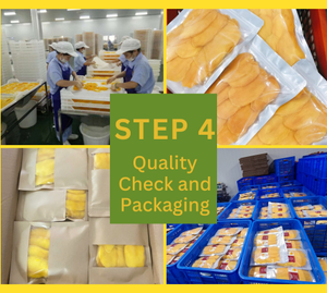 Dried Mango Slice Soft Texture And Sweet Taste Made With AD Drying Tropical Fruit For Export Grade Market - Product Image 4