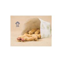 Exportation de graines d'arachides du Vietnam de haute qualité