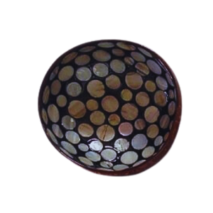 Tazón de cáscara de coco personalizado ecológico, lacado hecho a mano para uso doméstico y en la cocina directamente del fabricante de Vietnam - Product Image 1