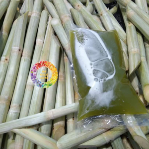 Jus de canne à sucre congelé de haute qualité du Vietnam goût sucré processus IQF emballé en vrac en bouteille conservation de l'eau - Product Image 5