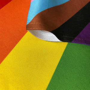 Paquete de 2 Banderas de Jardín Progress Pride - Banderas Pequeñas del Arcoíris LGBT de 12.5x18 Pulgadas, Bandera de la Comunidad Gay, Lésbica y Transgénero, Resistente a la Decoloración por Rayos UV - Product Image 1