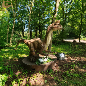 Installazioni di dinosauri animatronici personalizzate per esterni, impermeabili, per parchi a tema, <span class=keywords><strong>zoo</strong></span> e progetti di turismo culturale - Product Image 1