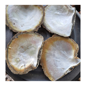 Tranches de coquille de nacre du Vietnam en nacre de qualité supérieure pour les panneaux de meubles d'incrustation de bijoux artisanaux et les utilisations de la décoration intérieure - Product Image 1