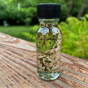 Aceite Esencial de Catnip 100% Puro (Nepeta Cataria) Extracto de Flor |   Destilado al vapor |   Certificado GMP |   Cuidado de la Piel Natural |   Venta al por Mayor - Product Image 1