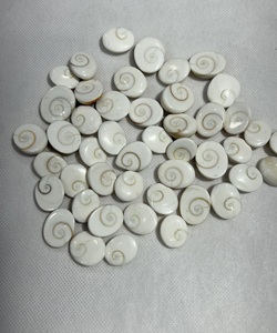 Piedra preciosa de ojo de Shiva natural Gomti Chakra Shiva Eye Precio al por mayor Piedra preciosa de concha de mar Piedra preciosa para la fabricación de joyas Shell, - Product Image 3