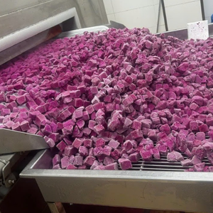 ก้อนผลไม้รูปมังกรแดงสดแช่แข็ง | ขนมขบเคี้ยวเพื่อสุขภาพ, ส่วนผสมสมูทตี้, จำนวนมาก - Product Image 1