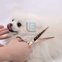Ciseaux de toilettage pour chiens et chats en acier inoxydable VG10 de 8 pouces, qualité professionnelle OEM, design moderne, logo personnalisé, portables et sur mesure