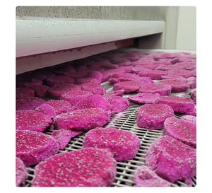 Fabricant de fruits du dragon congelés du Vietnam, IQF, pour la vente en gros, transformation alimentaire, exportation - Product Image 1