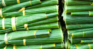 ใบตองสดแช่แข็งสำหรับบรรจุอาหาร/ห่อสินค้าส่งออกจากเวียดนามขายส่ง - Product Image 6