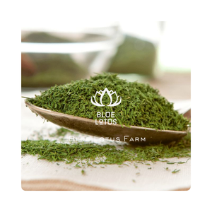 HOTSALES Hojas de eneldo secas naturalmente aromáticas ricas en sabor y nutrientes perfectas para condimentar sopas ensaladas y platos de mariscos - Product Image 1