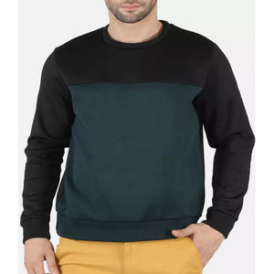 Sweat-shirt pour hommes à col ras du cou lourd fabriqué en usine Sweat à capuche vierge en coton avec logo personnalisé Conception doublée d'approvisionnement OEM avec motif imprimé - Product Image 1