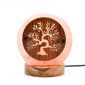 Lampe en sel de l'Himalaya de qualité supérieure avec motif arbre de vie découpé, lampe en cristal naturel pour spa, chambre à coucher et salon - Product Image 4