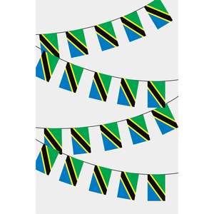 Guirnalda de Banderines Rectangulares de Tanzania para Decoración de Fiestas - Product Image 1