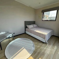 Maison préfabriquée en acier, capsule hôtelière, villa portable d'extérieur, 20 pieds, assemblage rapide, cabane Apple préfabriquée