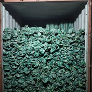 Manches de balai en bois recouverts de PVC, manche de balai en plastique et tête de balai en PP, bâtons de 120*2,2 cm - Product Image 1