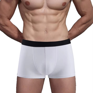 Bóxer para hombre cómodo de secado rápido para gimnasio, ropa interior para hombre, pantalones cortos con logotipo personalizado, ropa interior transpirable para hombres, servicios OEM ODM - Product Image 3