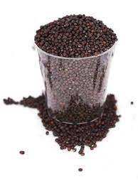 Suministro de fábrica al por mayor, extracto de semillas de brócoli con 0.1% sulforafano, producto agrícola - Product Image 6