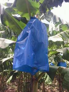 Banana Bunch Bags Cover Plant Fruit Protection Maduración Bolsa anticongelante - Product Image 2