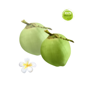 Dừa tươi có thể giúp cải thiện thị lực? - Product Image 5