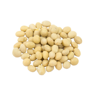 ถั่วสีเหลืองพร้อมส่งและส่งออก - Product Image 2