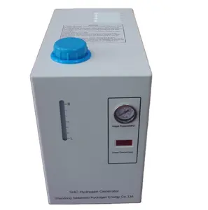 Générateur de gaz d'hydrogène SHC500, 0,5 lpm, 220 v