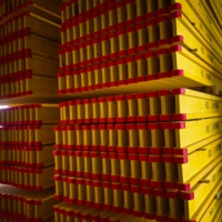 Viga de Madera H20 Multiusos para Encofrado de Losas/Paredes/Escalada y Sistema de Plantillas en Forma de Arco