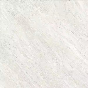 Vistaar 60x60cm Poli Dyna Beige Texture très brillante Carreaux de sol 600x600 Intérieur mat rustique du fabricant indien - Product Image 3