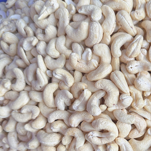 ขายร้อน ราคาถูก เม็ดมะม่วงหิมพานต์ W320 เม็ดมะม่วงหิมพานต์ดิบจากเวียดนาม ราคาส่ง ซานติโก เวียดนาม ขนาดตัดตามสั่ง - Product Image 1