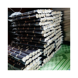 Caña de azúcar congelada fresca IQF, procesada a partir de cañas seleccionadas, aroma dulce y sabor retenido, perfecta para pedidos OEM/ODM - Product Image 3