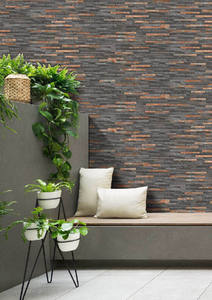 Carreaux de mur extérieur en porcelaine 300x600mm Finition extérieure - Product Image 4