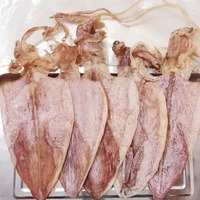 Nouveau Calamar Séché Sauvage 2025 // ISO HACCP // Fruits de Mer Naturels au Meilleur Prix du VIETNAM // M. Alex Truong