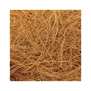 Fibres de coco disponibles pour les fabricants de brosses et de cordes de matelas - Product Image 6