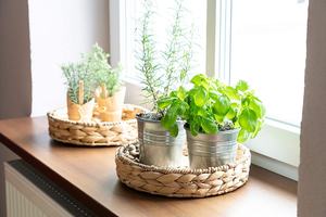 Colección 2023, jacinto de agua ecológico, estilo de granja, tejido a mano, Vietnam, uso doméstico, bandeja decorativa para almacenamiento de alimentos - Product Image 5