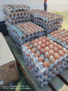 Huevos Frescos de Gallina de Corral Marrones y Blancos en Oferta - Product Image 3