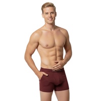 Nouveaux boxers pour hommes Micro Modal Fiber Soft Breathable Thin Section Sexy Four-Corner Briefs avec votre logo personnalisé et Desi