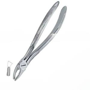 Forceps d'extraction dentaire manuels de qualité supérieure, personnalisables avec logo, certifiés CE, en acier inoxydable, modèle Fig.39, instruments dentaires - Product Image 5